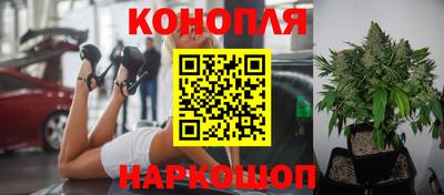 прущая мука Мариинск