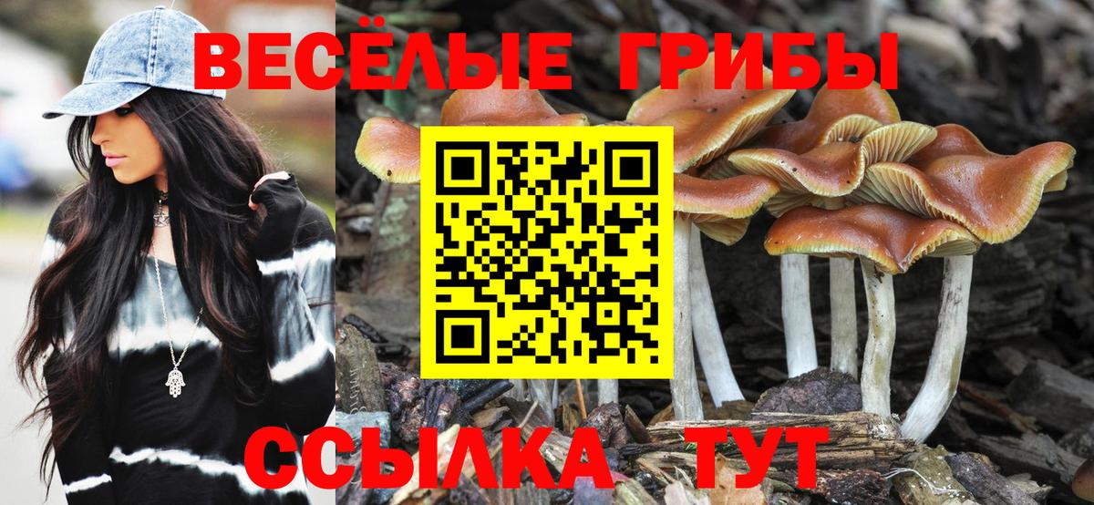 Грозный  Галлюциногенные грибы мицелий  Вход с VPN 